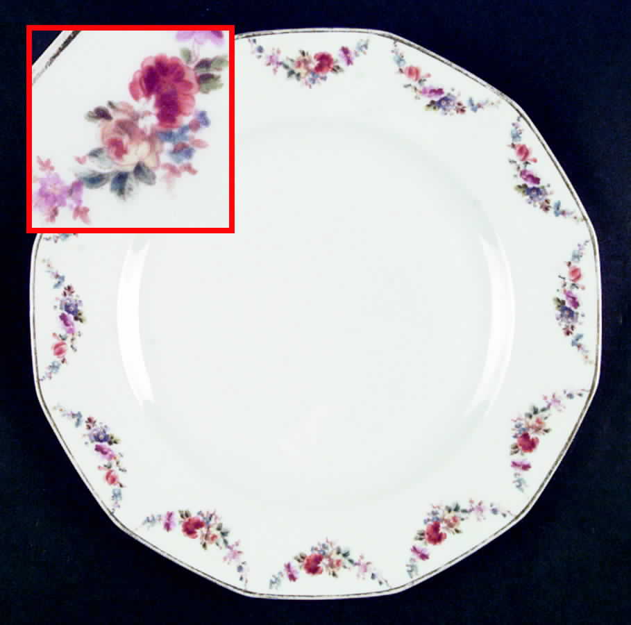 JNH2 Dinner Plate by Jean Haviland-1