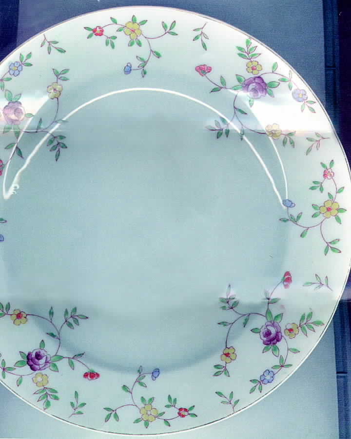 JAP168 Dinner Plate by Japan-1