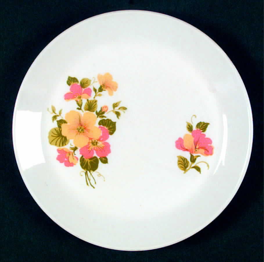 JB490 Bread & Butter Plate by Johnson Brothers-1