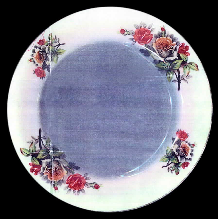JAP176 Dinner Plate by Japan-1