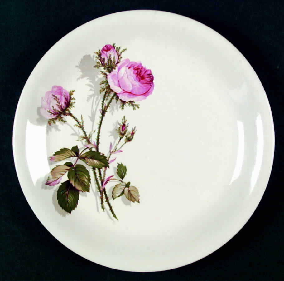 JB502 Dinner Plate by Johnson Brothers-1