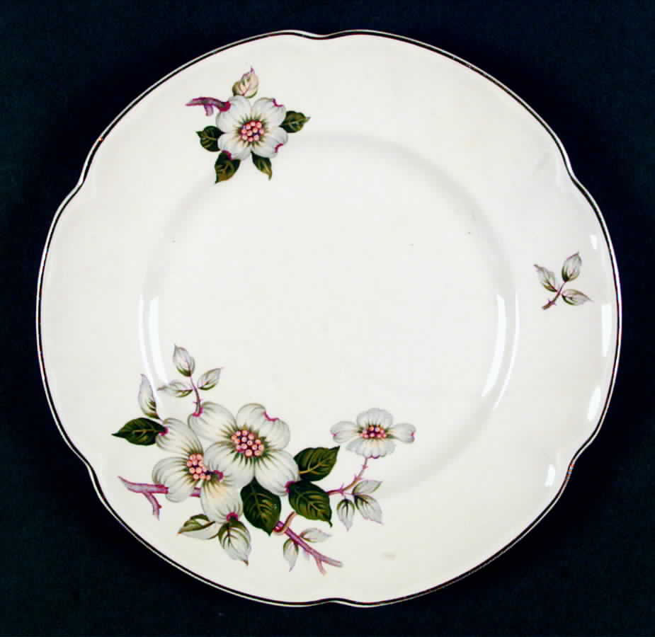 JB505 Dinner Plate by Johnson Brothers-1