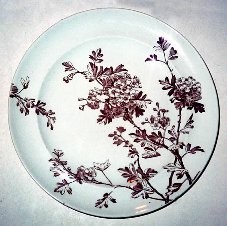 Charm Dinner Plate by George Jones & Sons-1