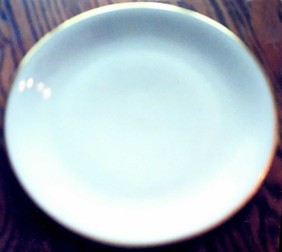 04052 Dinner Plate by Jaeger-1