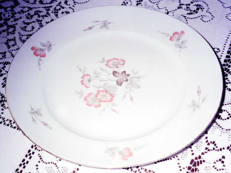 JOH254 Dinner Plate by Johann Haviland-1