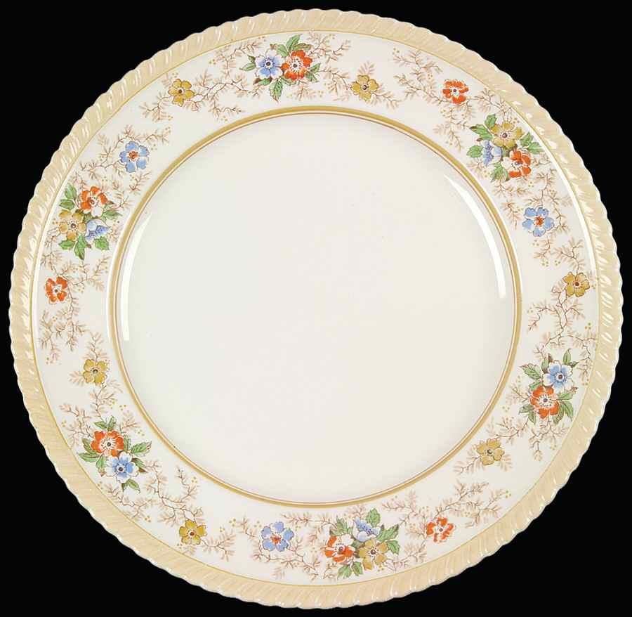 Tweedsmuir Dinner Plate by Johnson Brothers-1