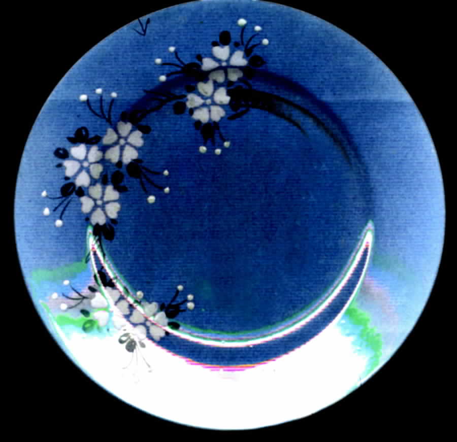 SZK13 Salad Plate by Shimizu Rokunosuko-1