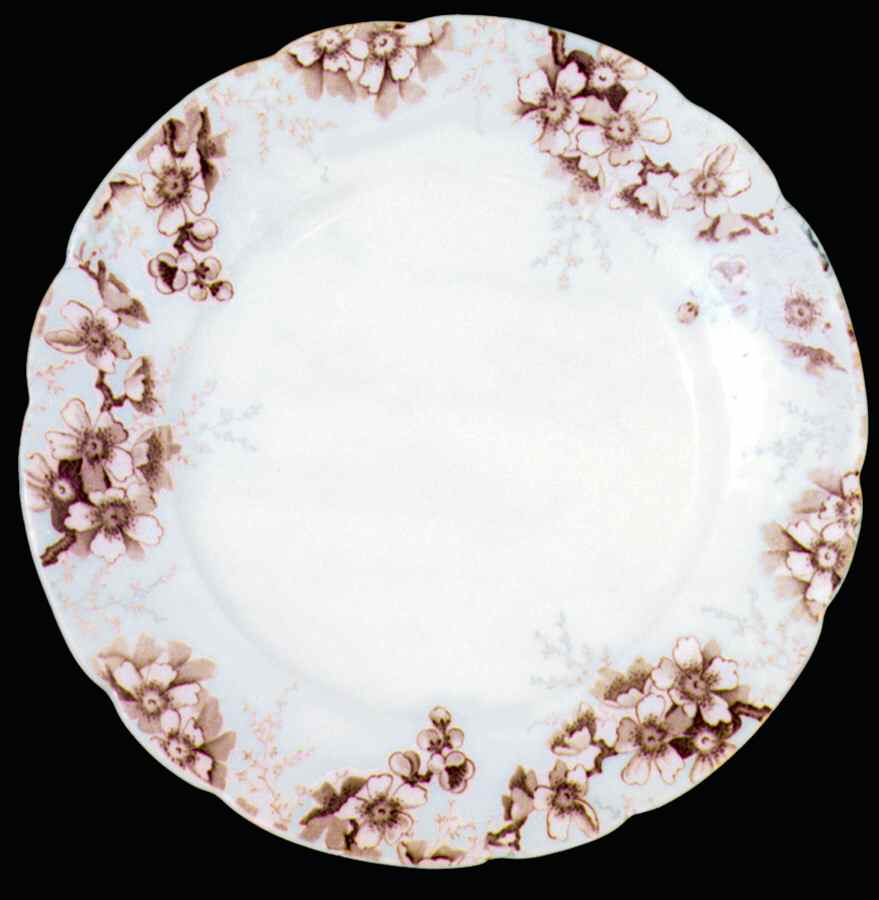 Peach   Brown Dinner Plate by Johnson Brothers-1