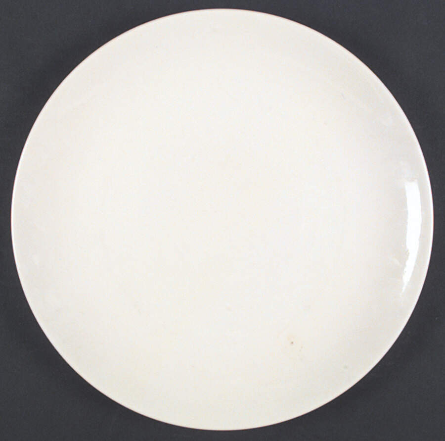 JB542 Dinner Plate by Johnson Brothers-1