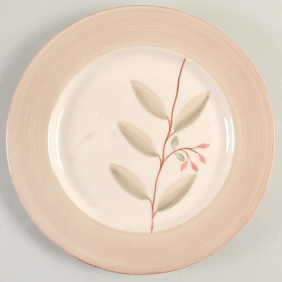Caffe Dinner Plate by JCPenney-1
