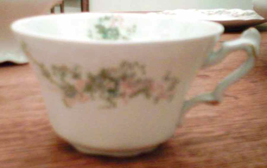 JB544 Flat Cup by Johnson Brothers-1