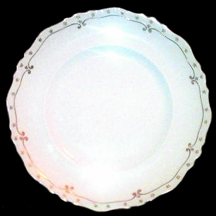 JB547 Dinner Plate by Johnson Brothers-1