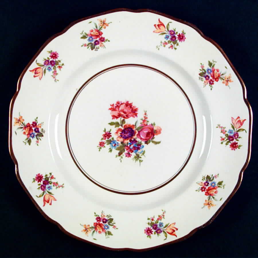 JB550 Dinner Plate by Johnson Brothers-1