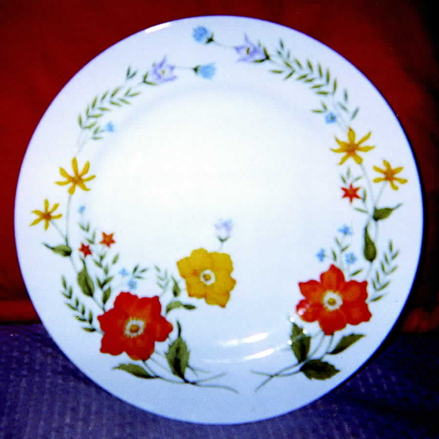Charlene Dinner Plate by Jardin-1