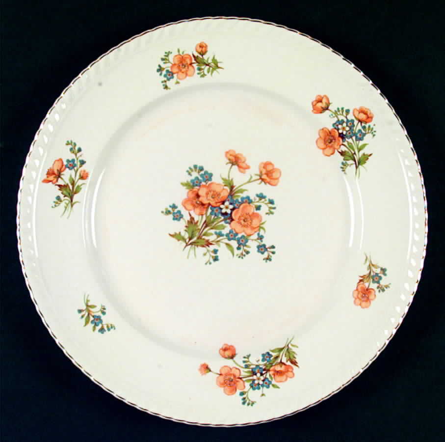 JB556 Dinner Plate by Johnson Brothers-1