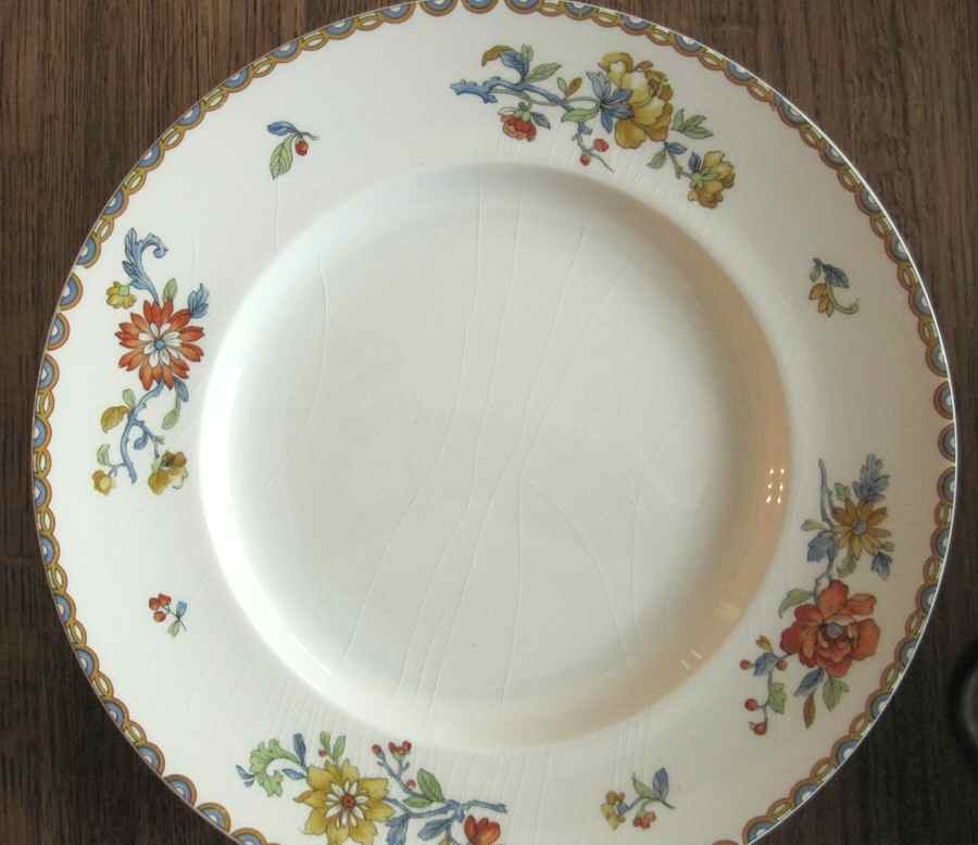 JB559 Dinner Plate by Johnson Brothers-1
