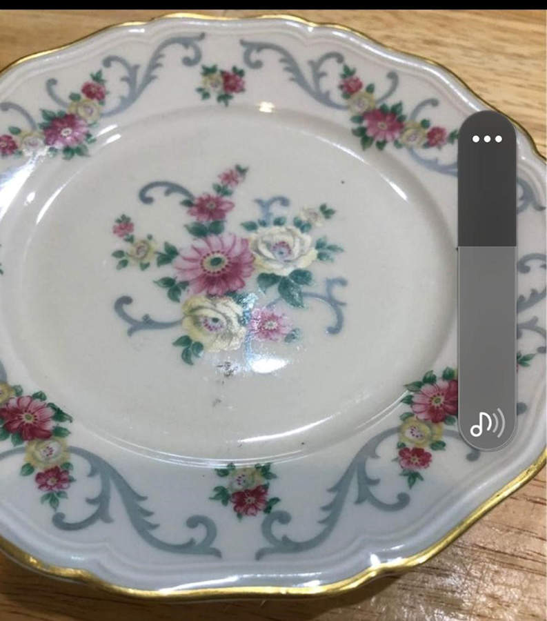 JOH268 Dinner Plate by Johann Haviland-1
