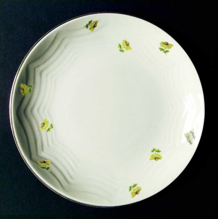 Cascade Dinner Plate by James River-1