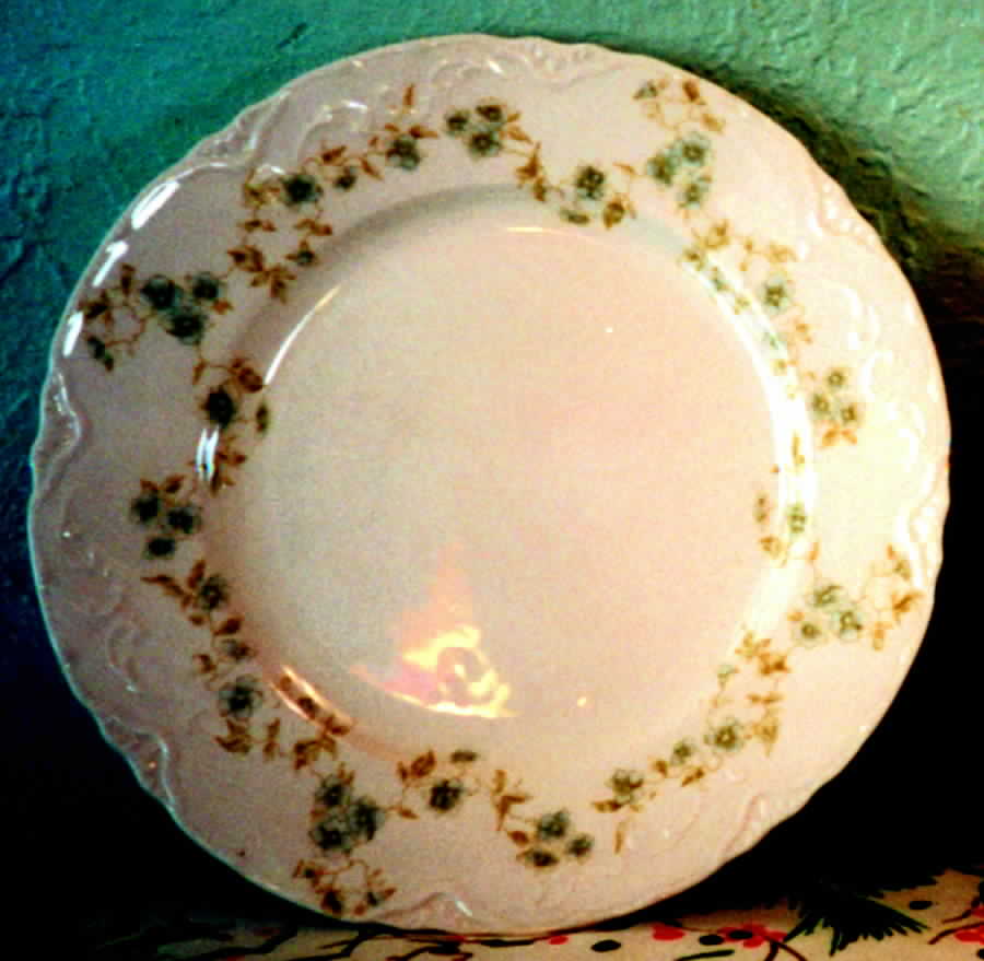 JB573 Dinner Plate by Johnson Brothers-1