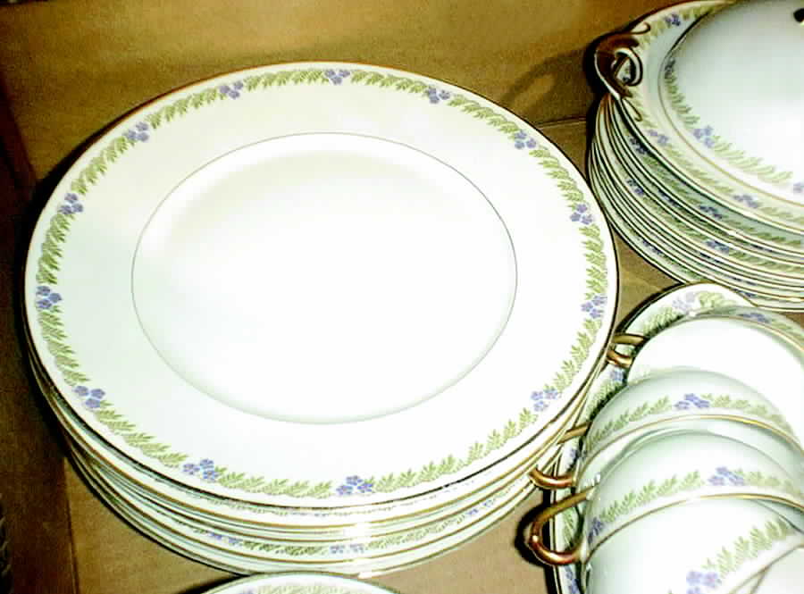 JHB6 Dinner Plate by JHW (Bavaria)-1