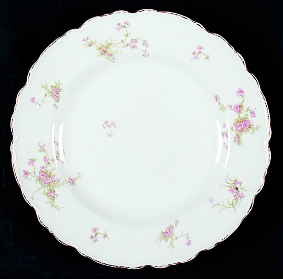 JB601 Dinner Plate by Johnson Brothers-1