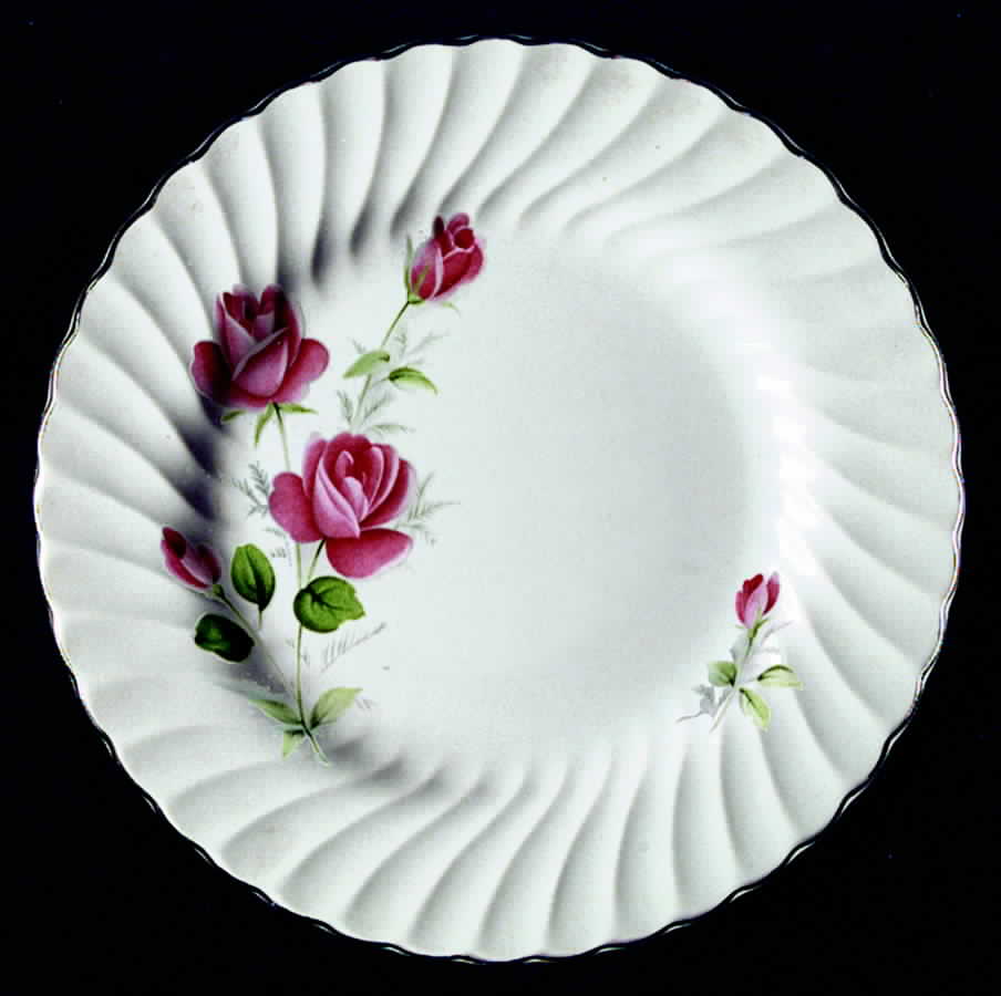 JB602 Dinner Plate by Johnson Brothers-1
