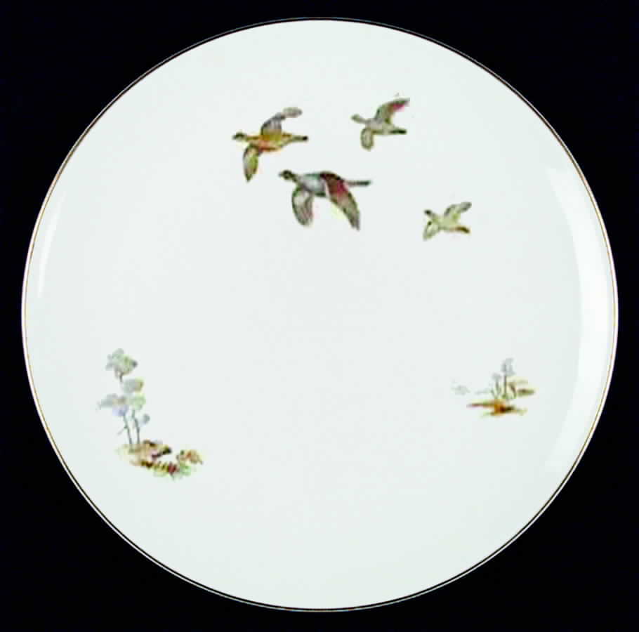 JB607 Dinner Plate by Johnson Brothers-1