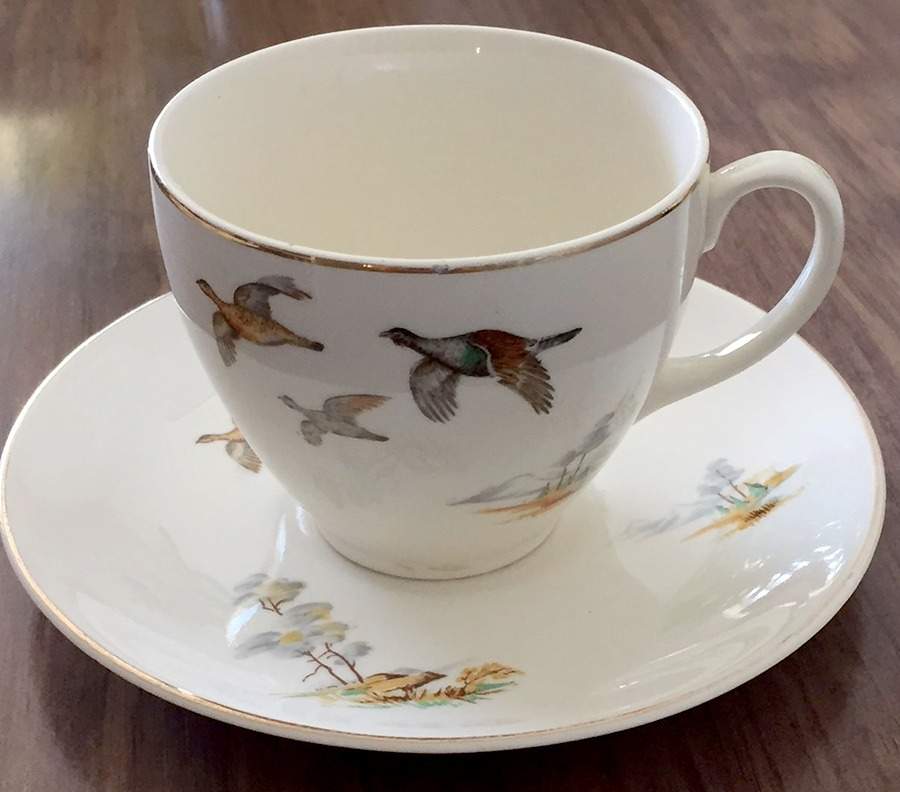 JB607 Footed Cup & Saucer Set by Johnson Brothers-1