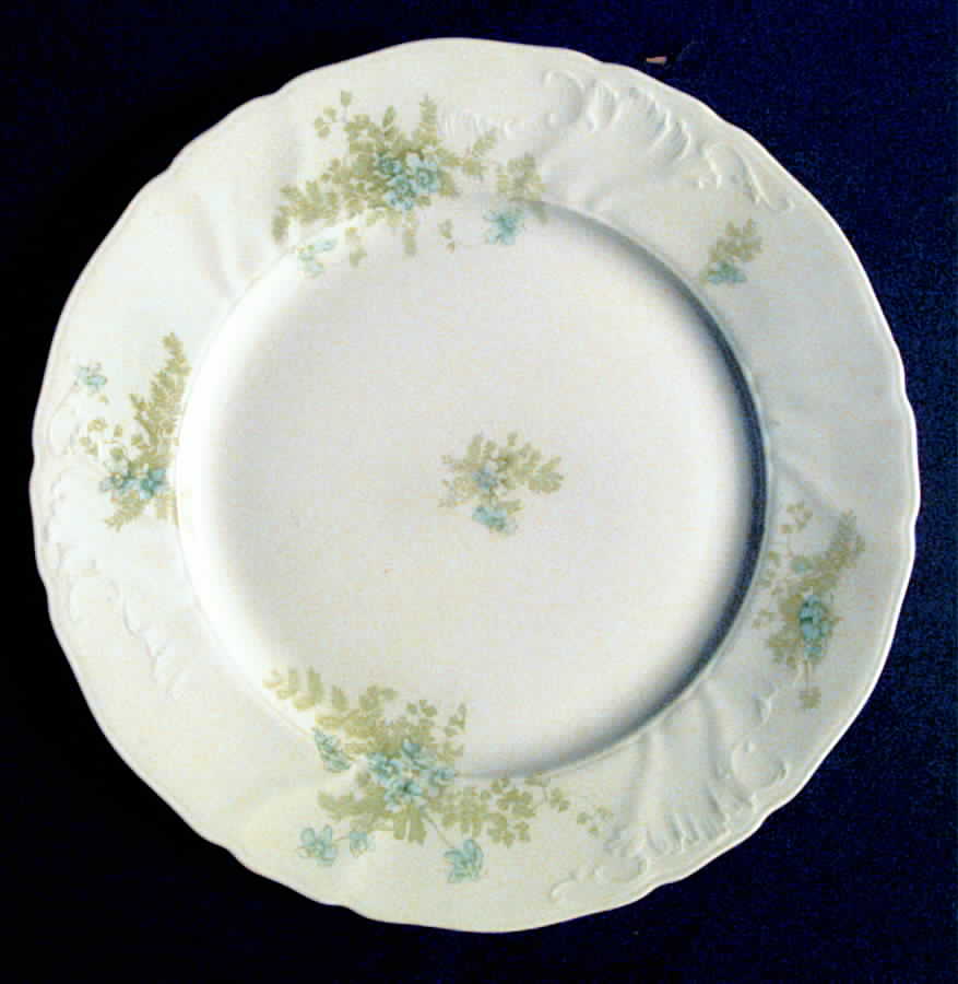 JB497 Dinner Plate by Johnson Brothers-1