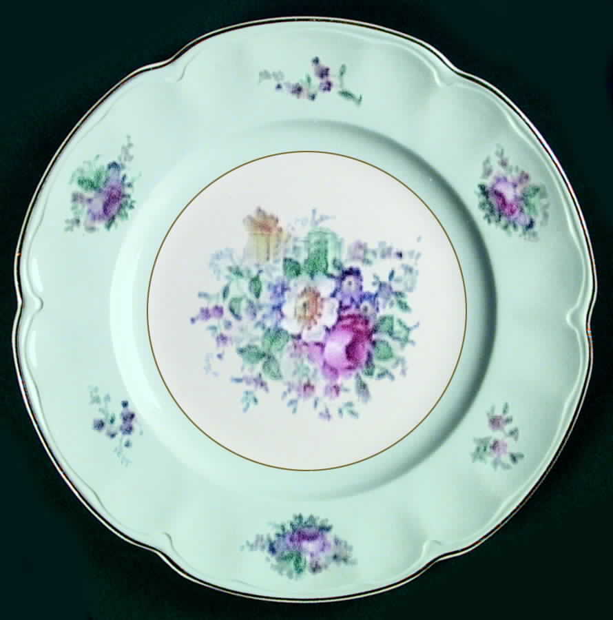 JB621 Dinner Plate by Johnson Brothers-1