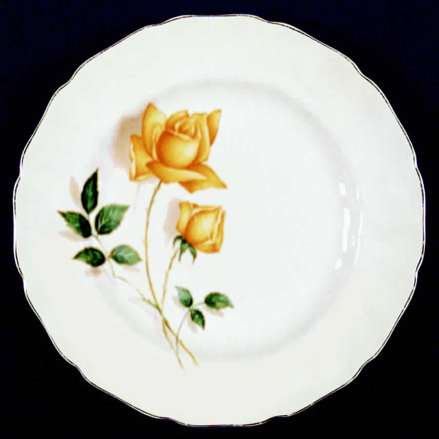 JB641 Dinner Plate by Johnson Brothers-1