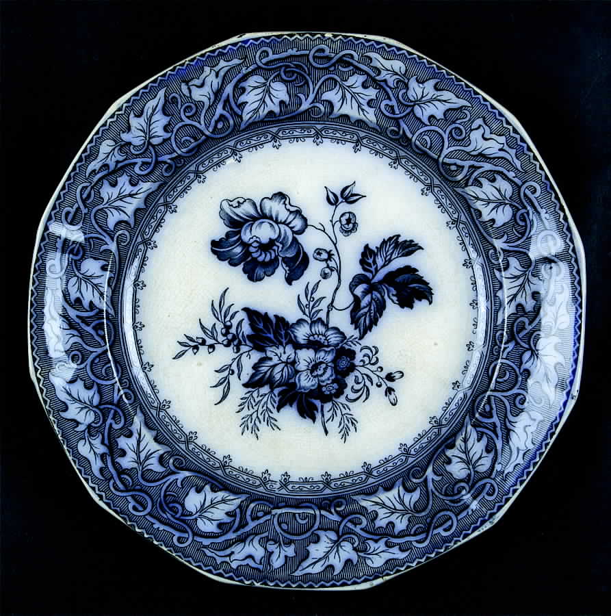 Vine Border Dinner Plate by John & Robert Godwin-1
