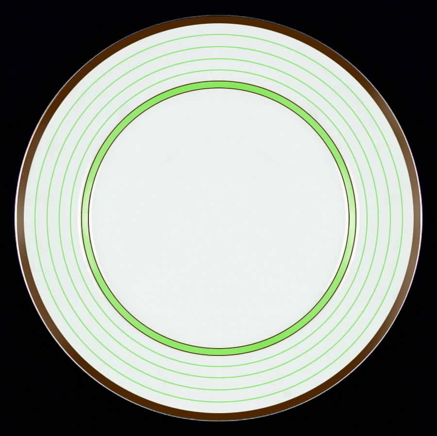 JB645 Dinner Plate by Johnson Brothers-1