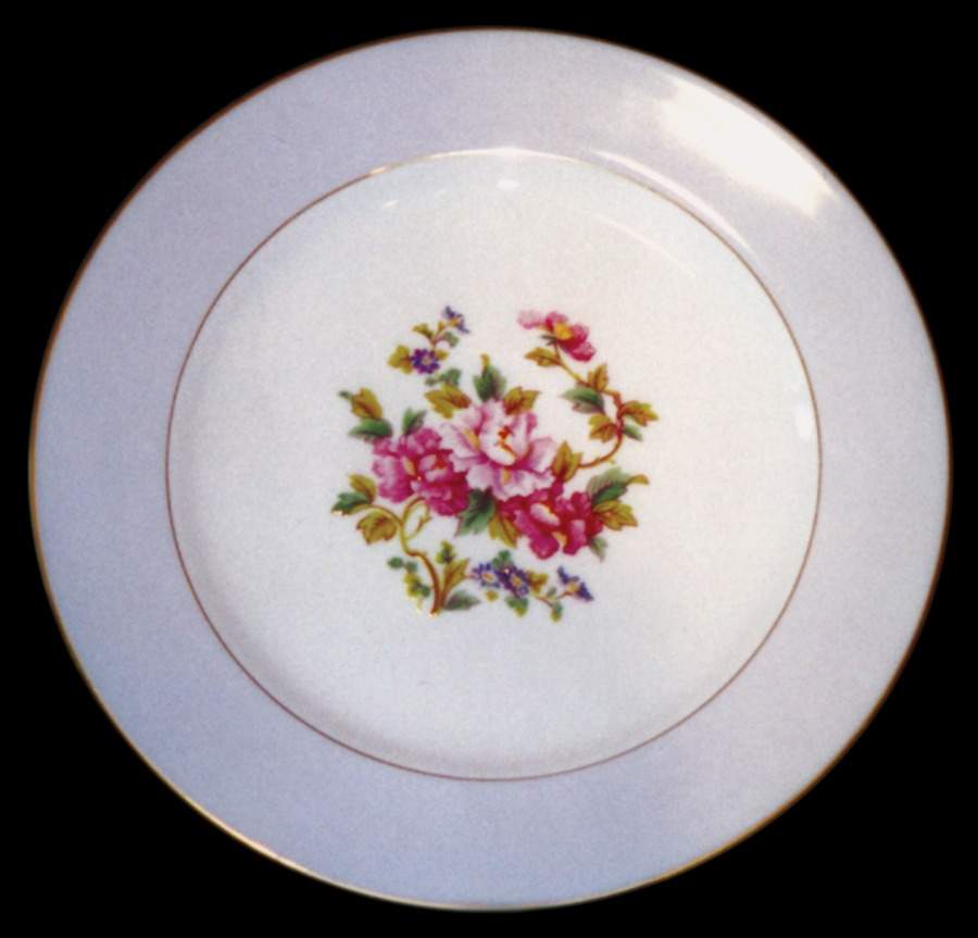 JAP288 Dinner Plate by Japan-1