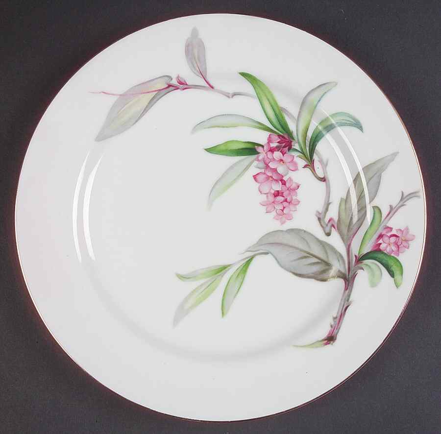 JYO47 Dinner Plate by Jyoto-1