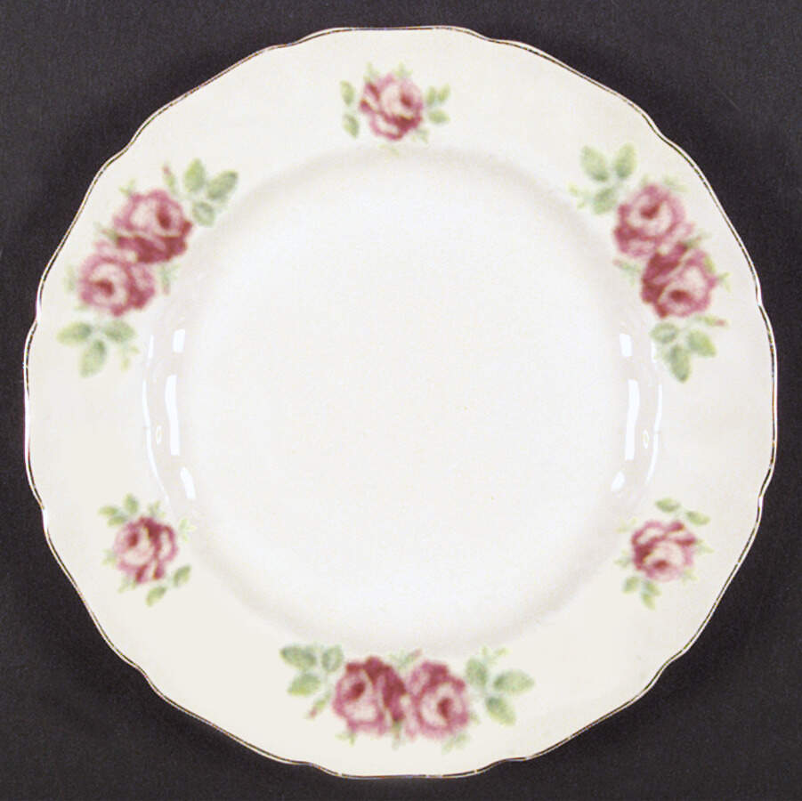 JB664 Dinner Plate by Johnson Brothers-1