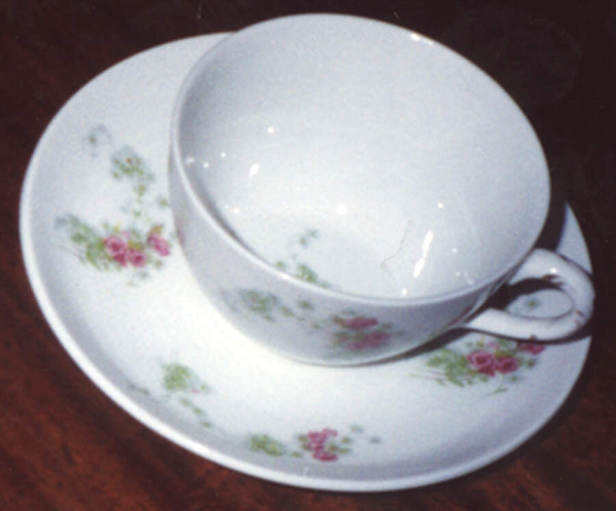 JB670 Flat Cup & Saucer Set by Johnson Brothers-1