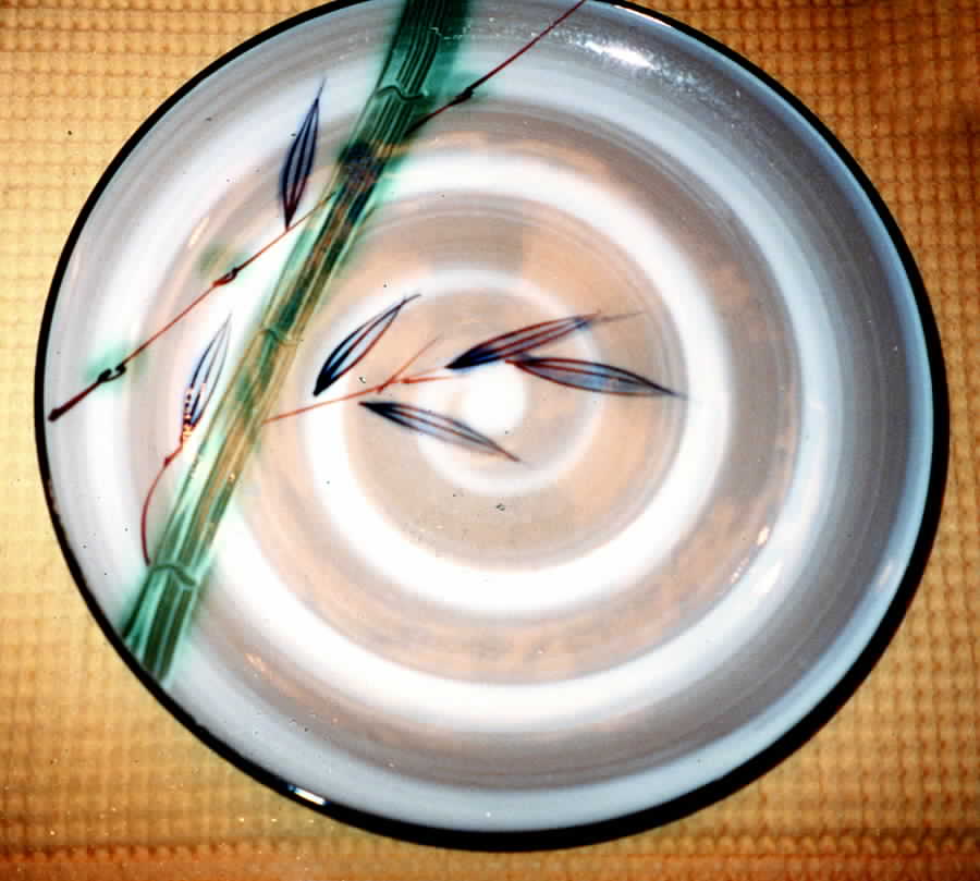 Moana Dinner Plate by Japan-1