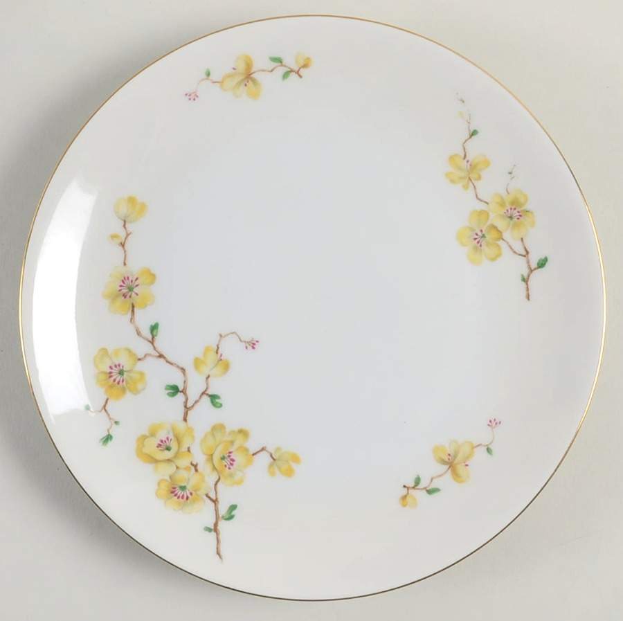 W160 Coupe Salad Plate by Johann Haviland-1