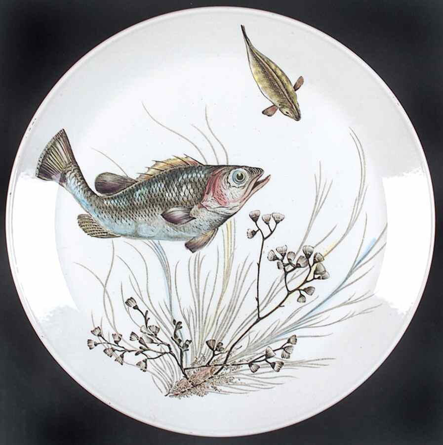 FISH (WHITE) Dinner Plate by Johnson Brothers-1