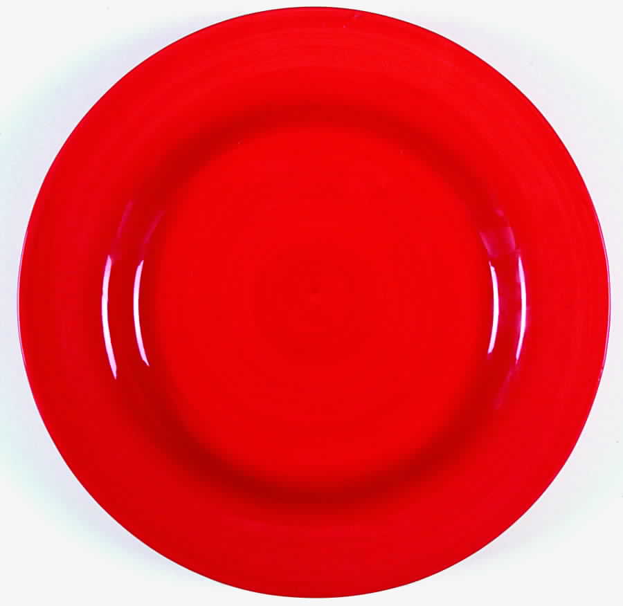 JCP6 Dinner Plate by JCPenney-1