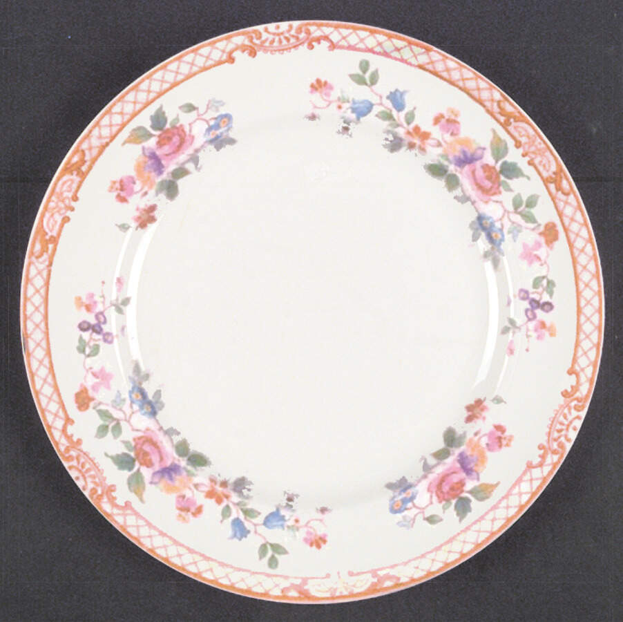 Delamere Dinner Plate by Johnson Brothers-1