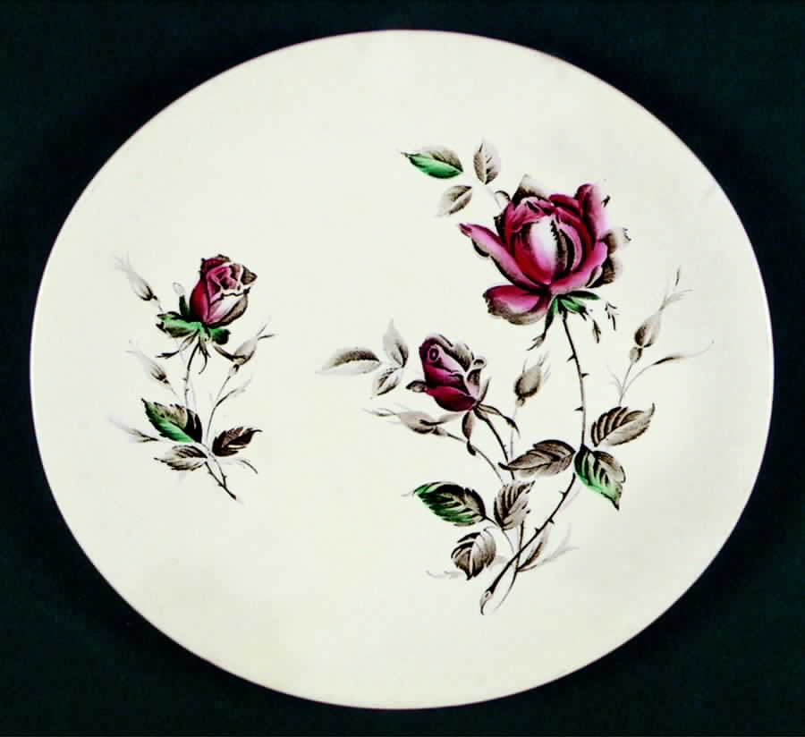 JB746 Dinner Plate by Johnson Brothers-1