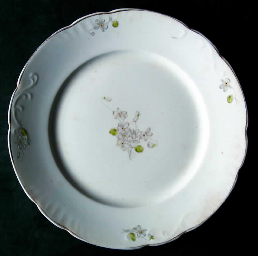JB758 Luncheon Plate by Johnson Brothers-1