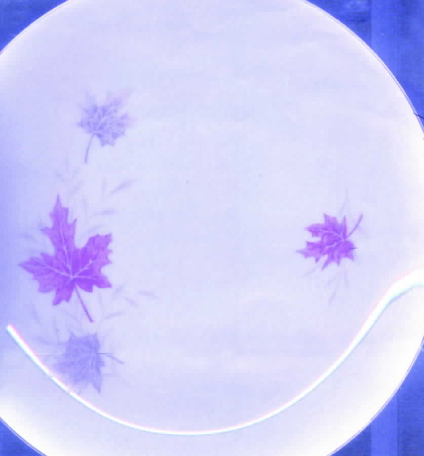Autumn Leaf Dinner Plate by Japan-1