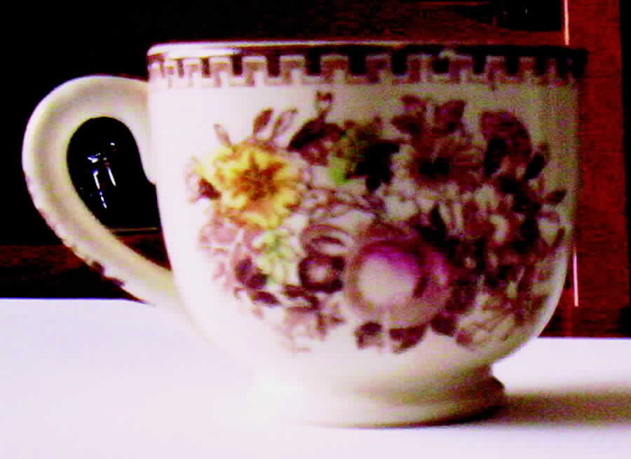 Fruit Harvest Flat Cup by Japan-1