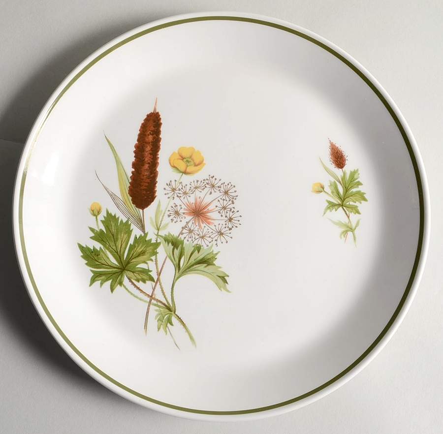 Brookside Dinner Plate by Johnson Brothers-1