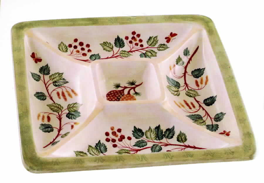 Wild Hatch 1 Piece Chip & Dip by Jay Willfred-1