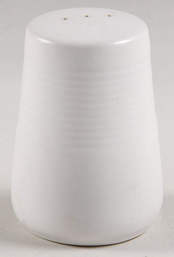 Bianco Salt Shaker by JCPenney-1