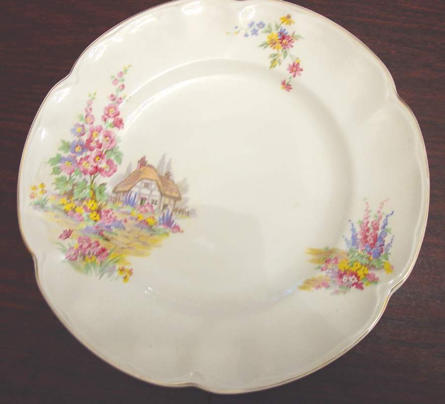 JB827 Dinner Plate by Johnson Brothers-1
